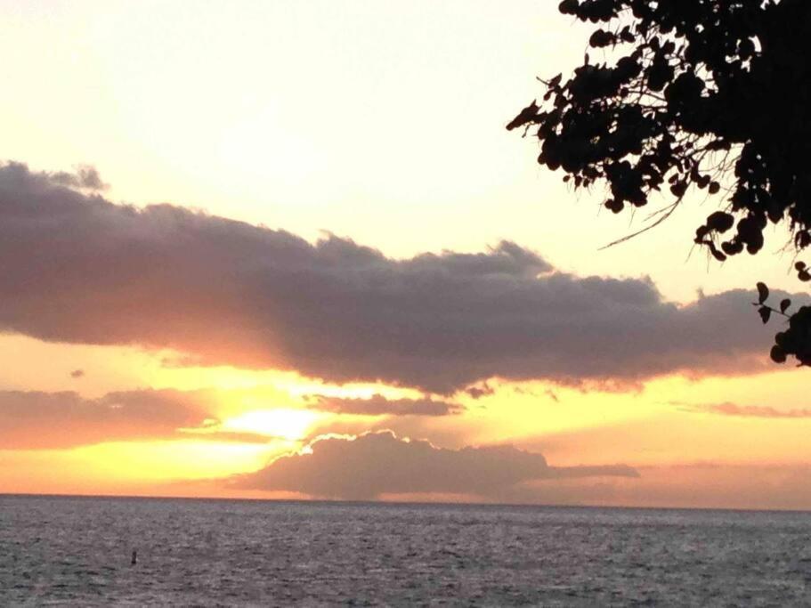 Unrivaled S Kihei Maui Location! Walk To It All! Экстерьер фото